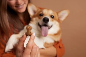 hondensnacks